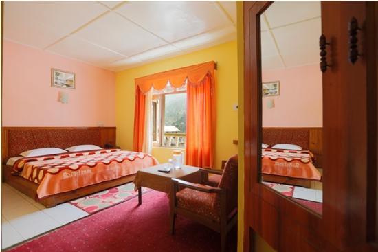 Hotel Mohan Palace Manali (Himachal Pradesh) Exterior photo